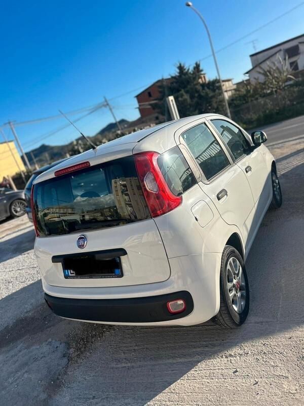 Usata Fiat Panda Lounge 69 CV (50 kW) 2015 Bianco Utilitaria