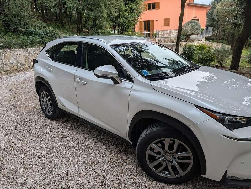 Usata Lexus NX300h Executive Line 155 CV (114 kW) 2015 Bianco SUV