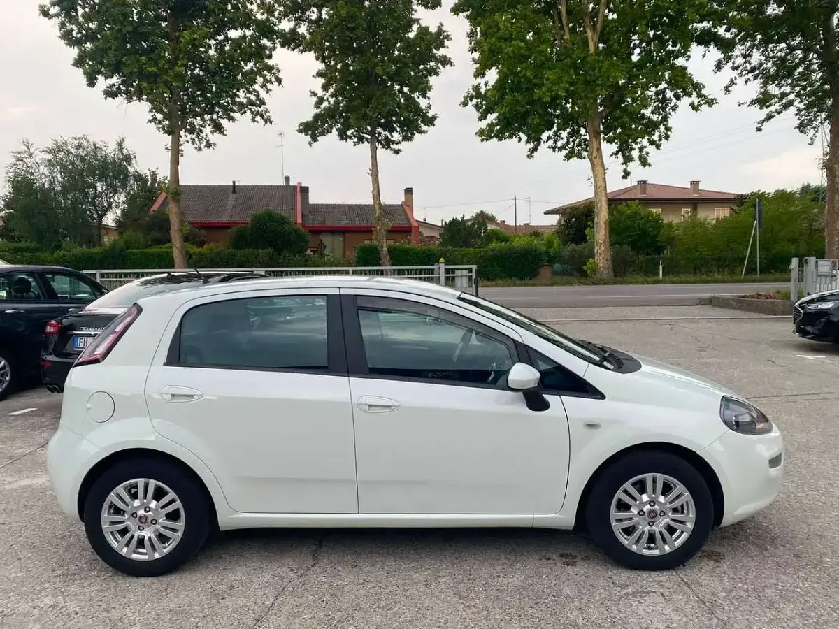 Usata Fiat Punto Lounge 84 CV (61 kW) 2012 Bianco Utilitaria