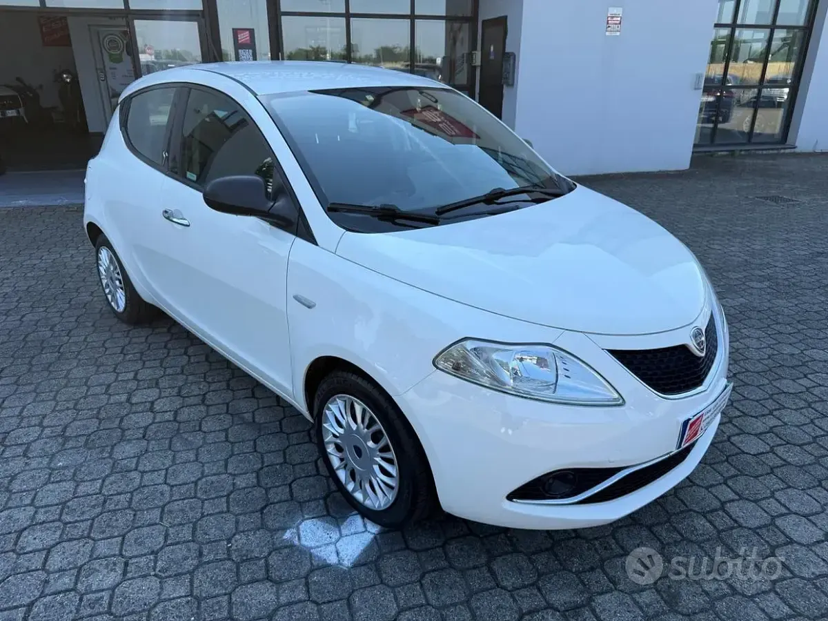 Usata Lancia Ypsilon Platinum 69 CV (50 kW) 2016 Bianco Utilitaria