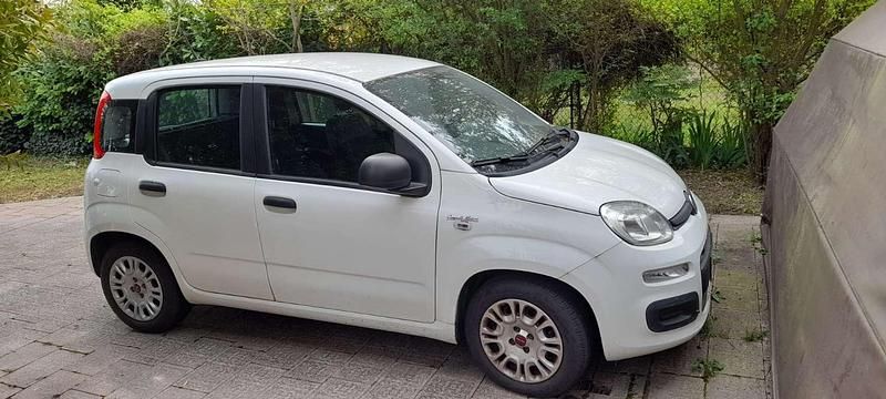 Usata Fiat Panda Easy 69 CV (50 kW) 2020 Bianco Utilitaria