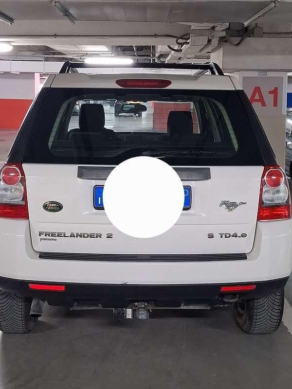 Usata Land Rover Freelander 2 S 160 CV (117 kW) 2010 Bianco SUV