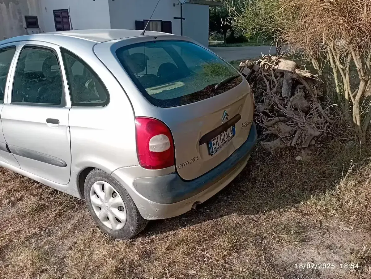 Usata Citroën Xsara 95 CV (69 kW) 2002 Grigio Monovolume