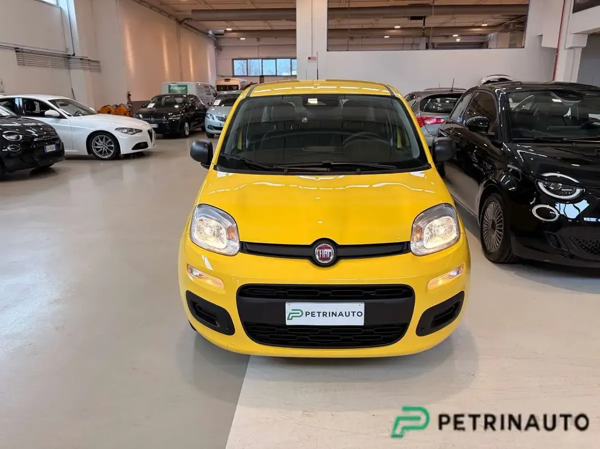 Nuova Fiat Panda Icon 65 CV (47 kW) 2026 509  giallo positano pastello Utilitaria