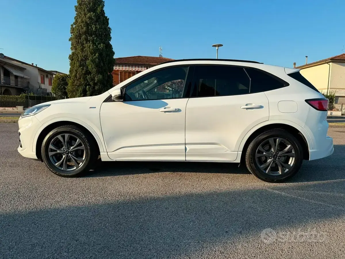 Usata Ford Kuga ST-Line 120 CV (88 kW) 2021 Bianco SUV