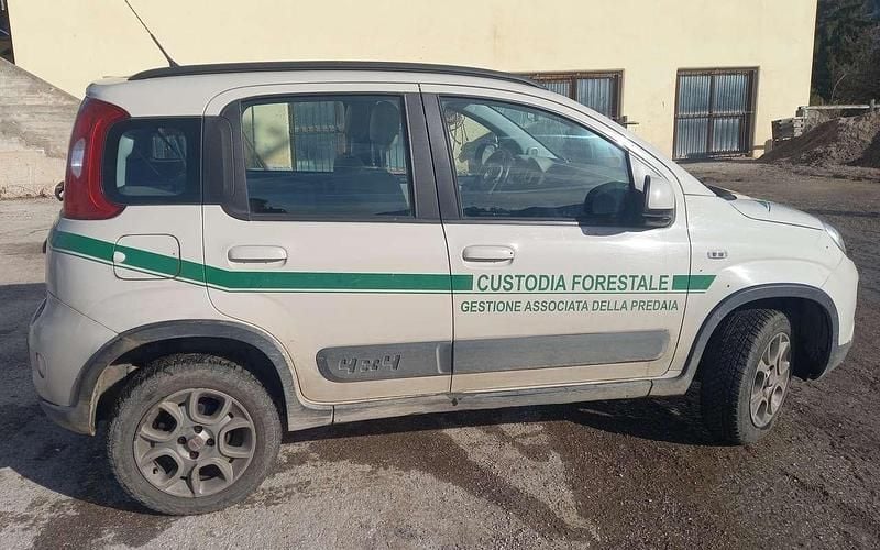 Gebraucht Fiat Panda 4x4 75 PS (55 kW) 2014 Weiß Kleinwagen
