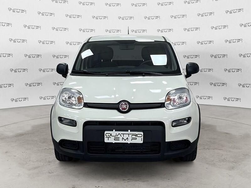 Usata Fiat Panda S 69 CV (50 kW) 2023 Bianco Utilitaria