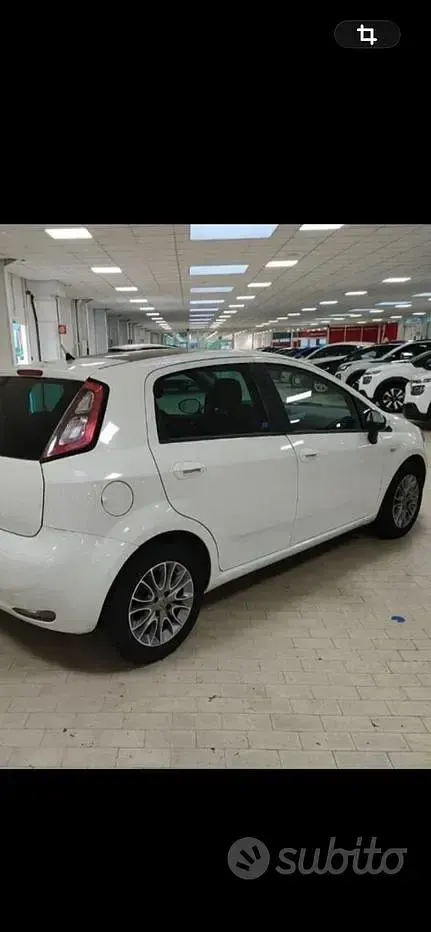Begagnad Fiat Punto S 95 HK (69 kW) 2012 Vit Halvkombi