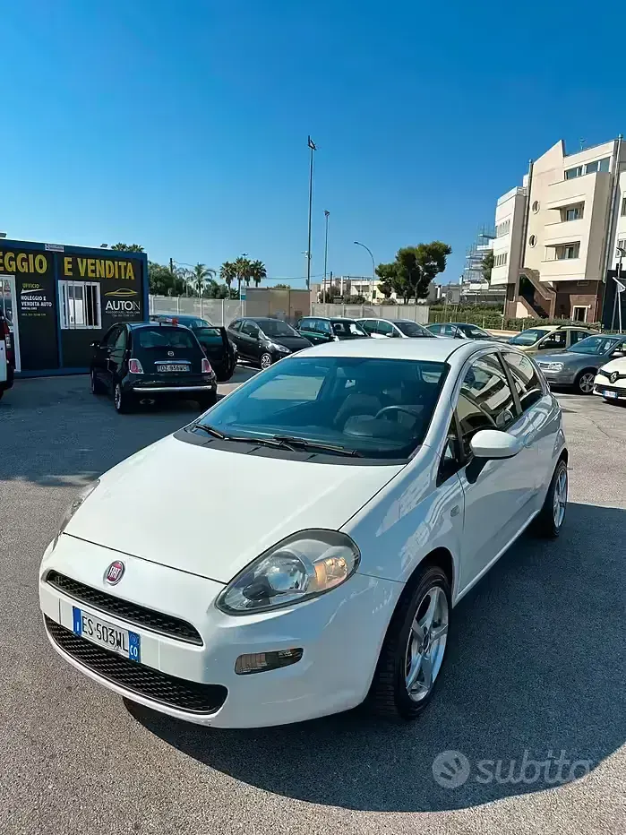 Usata Fiat Punto Lounge 69 CV (50 kW) 2013 Bianco Utilitaria