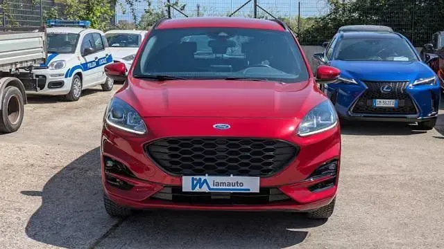 Usata Ford Kuga ST-Line 225 CV (165 kW) 2021 Rosso SUV