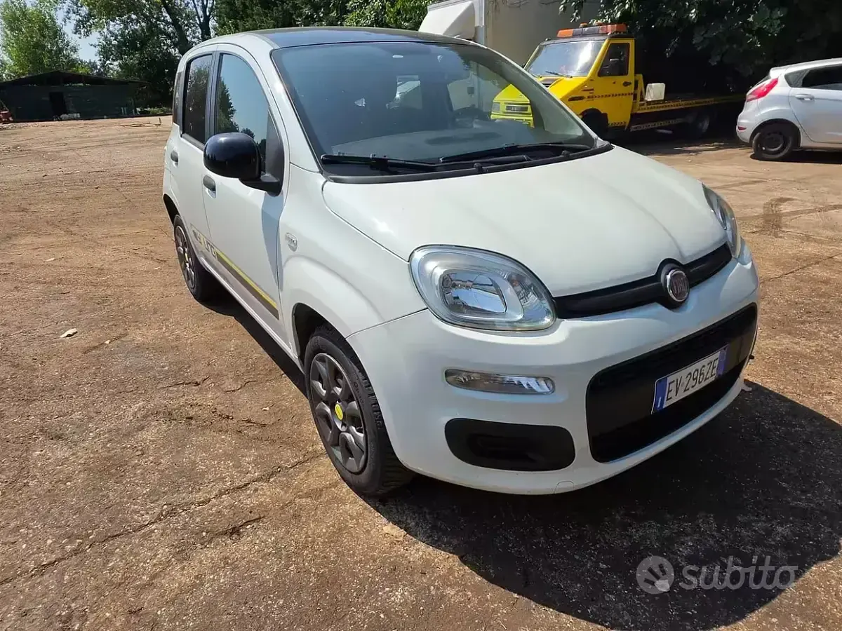 Usata Fiat Panda Young 69 CV (50 kW) 2014 Utilitaria