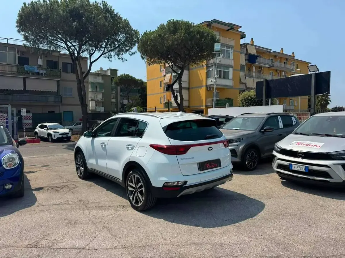 Usata Kia Sportage Plus 116 CV (85 kW) 2019 Bianco SUV