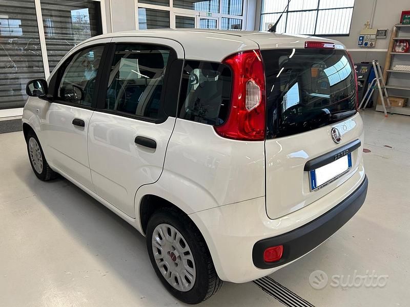 Usata Fiat Panda Easy 69 CV (50 kW) 2020 Bianco Utilitaria