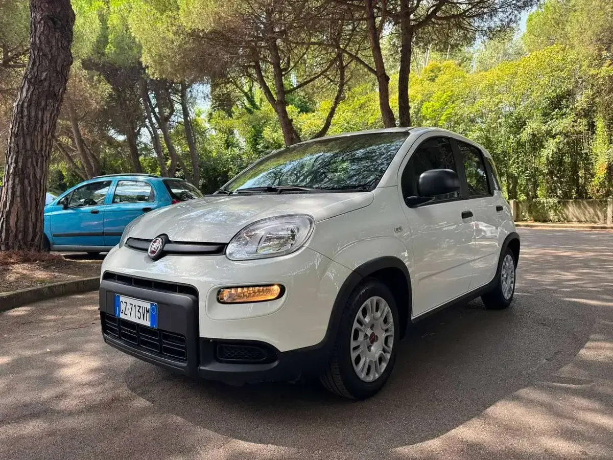 Usata Fiat Panda Launch Edition 69 CV (50 kW) 2023 Bianco Utilitaria