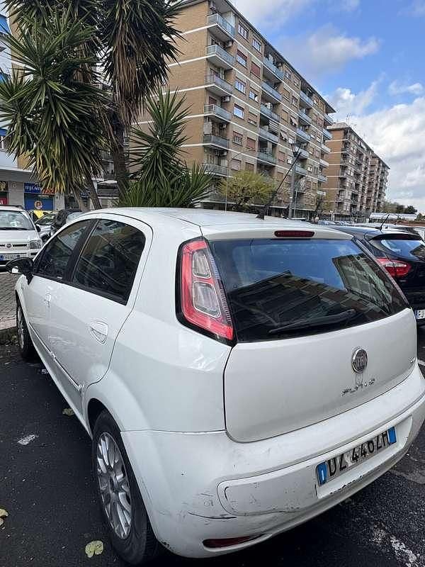 Usata Fiat Punto Evo Dynamic 77 CV (56 kW) 2009 Bianco Utilitaria