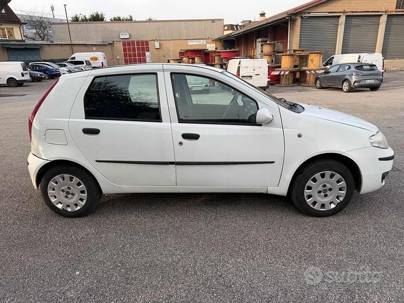 Usata Fiat Punto Active 59 CV (43 kW) 2010 Bianco Utilitaria
