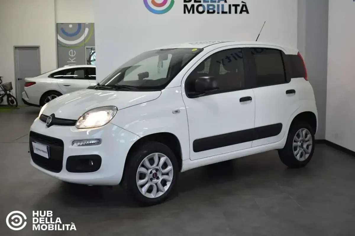 Usata Fiat Panda 4x4 Pop 84 CV (61 kW) 2019 Bianco Utilitaria