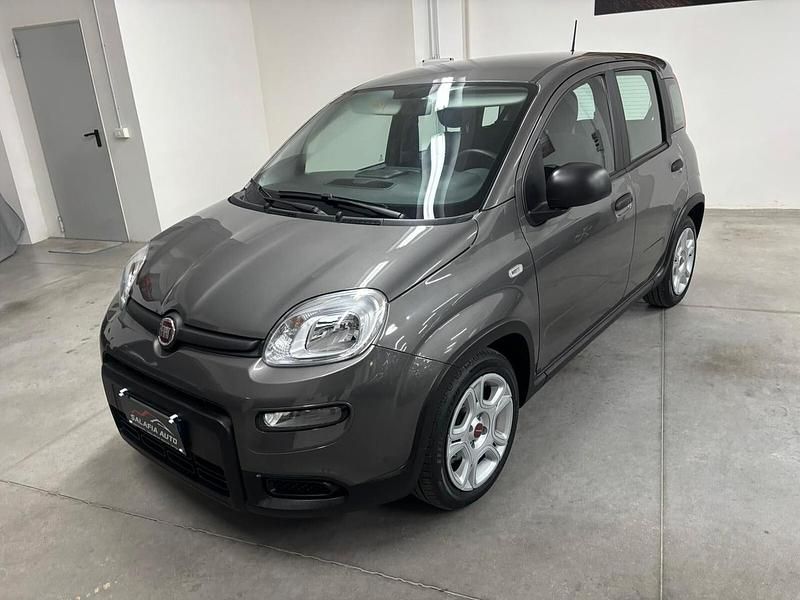 Usata Fiat Panda Cross Cross 70 CV (51 kW) 2023 Grigio Utilitaria