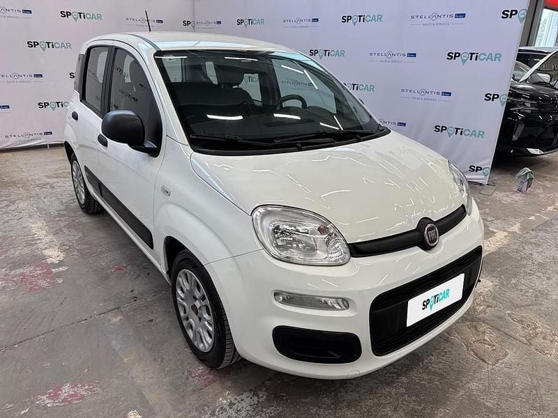 Usata Fiat Panda Easy 70 CV (51 kW) 2020 Bianco Utilitaria