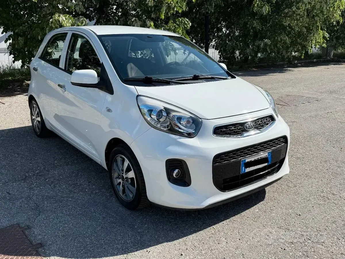 Usata Kia Picanto Active 65 CV (47 kW) 2016 Bianco Utilitaria