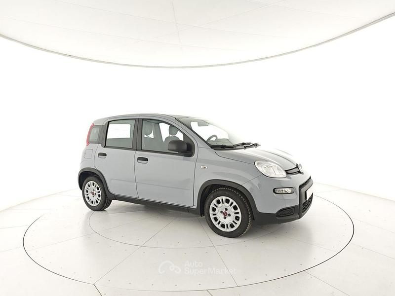 Usata Fiat Panda S 69 CV (50 kW) 2023 Grigio Utilitaria