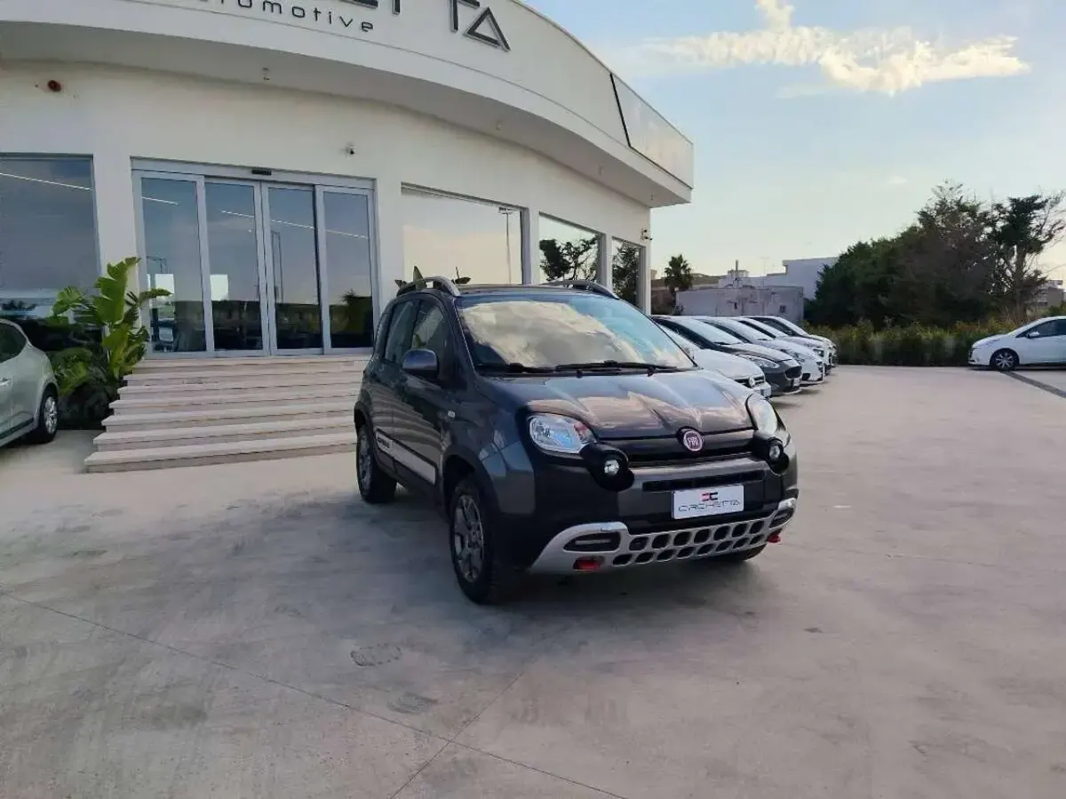 Usata Fiat Panda Cross Cross 95 CV (69 kW) 2016 Grigio Utilitaria