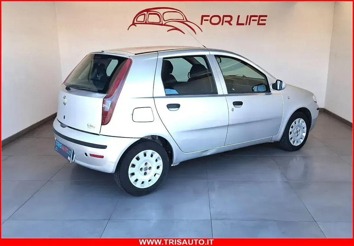 Usata Fiat Punto Active 70 CV (51 kW) 2010 Argento Utilitaria