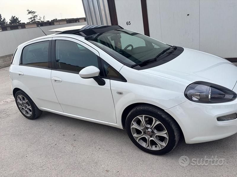 Usata Fiat Punto Lounge 85 CV (62 kW) 2012 Bianco Utilitaria