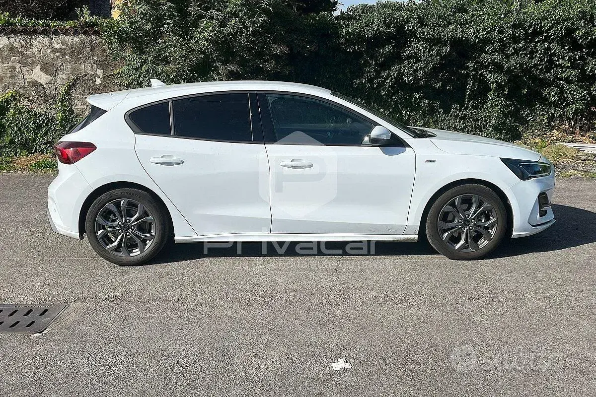 Usata Ford Focus ST-Line 125 CV (91 kW) 2023 Bianco Utilitaria