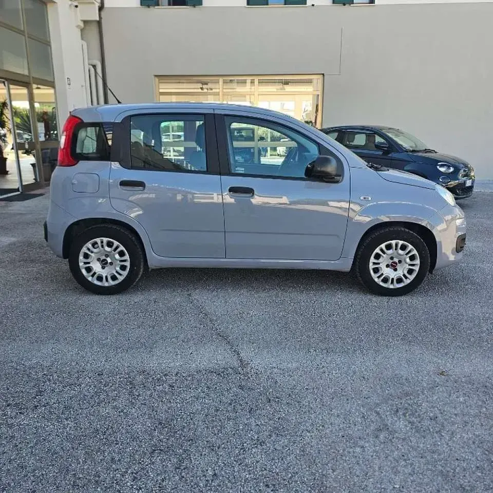 Usata Fiat Panda Easy 69 CV (50 kW) 2019 Grigio Utilitaria