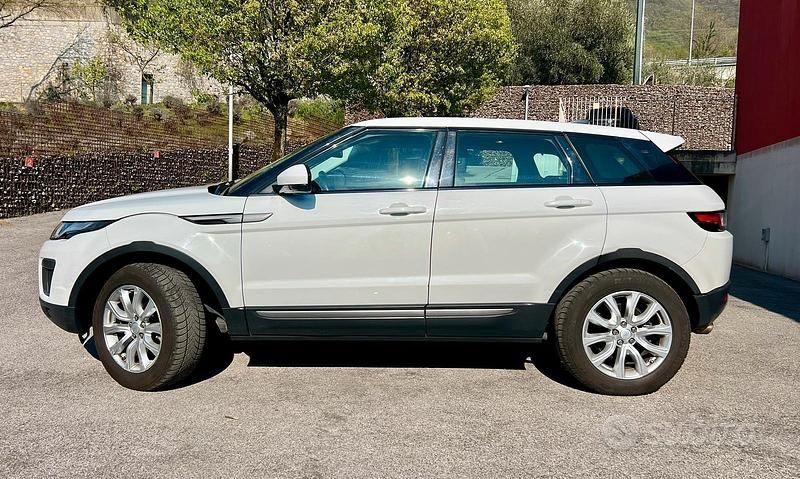 Usata Land Rover Range Rover evoque Pure 241 CV (177 kW) 2016 Bianco SUV