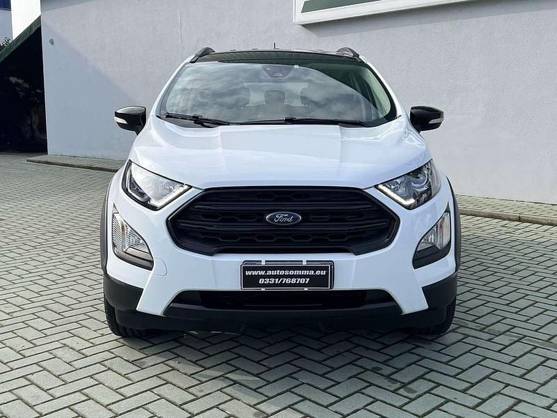 Usata Ford Ecosport Active 125 CV (91 kW) 2023 Bianco SUV