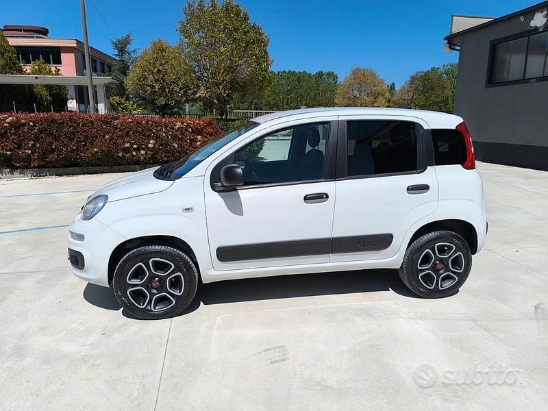 Occasion Fiat Panda 4x4 85 ch (62 kW) 2021 Blanc Citadine