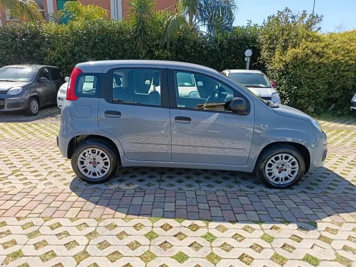 Usata Fiat Panda Easy 69 CV (50 kW) 2018 Grigio Utilitaria