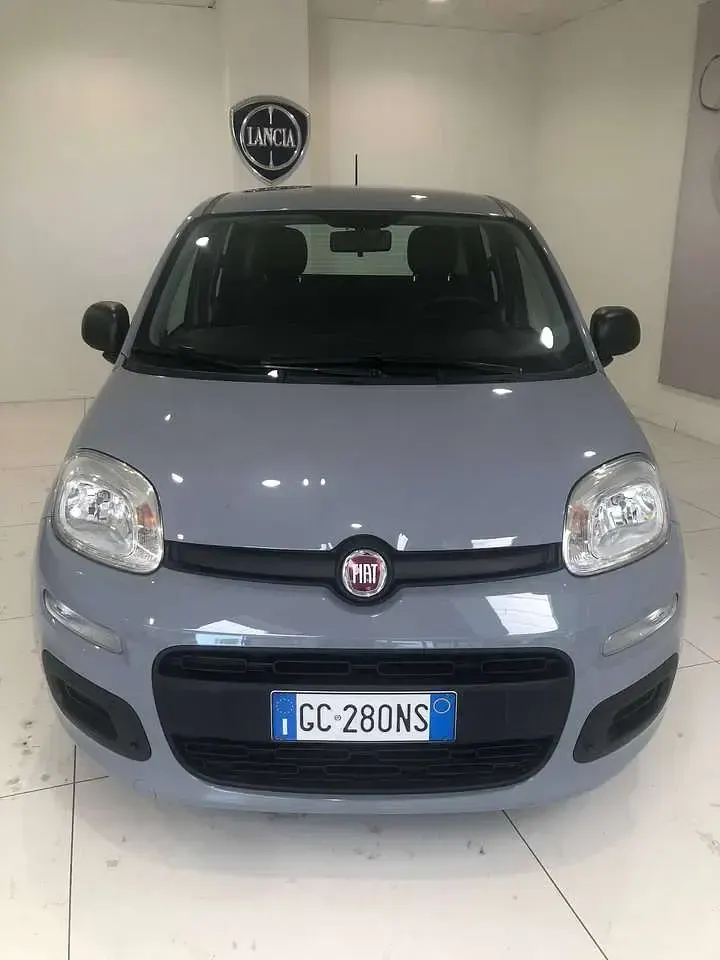 Usata Fiat Panda Easy 69 CV (50 kW) 2020 Grigio Utilitaria