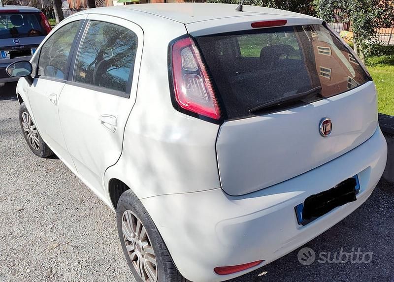 Usata Fiat Punto Easy 77 CV (56 kW) 2013 Bianco Utilitaria