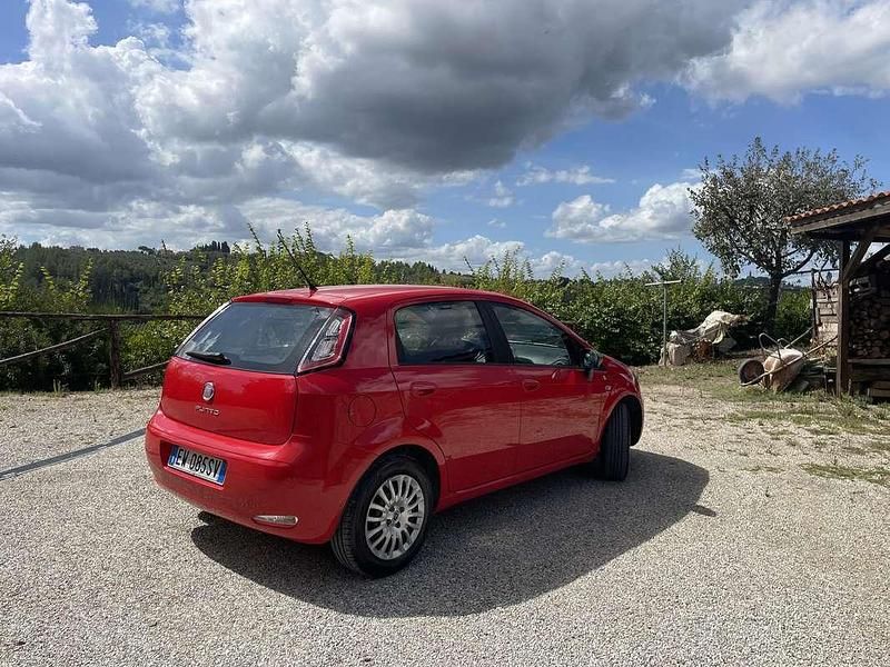 Usata Fiat Punto Young 77 CV (56 kW) 2014 Berlina