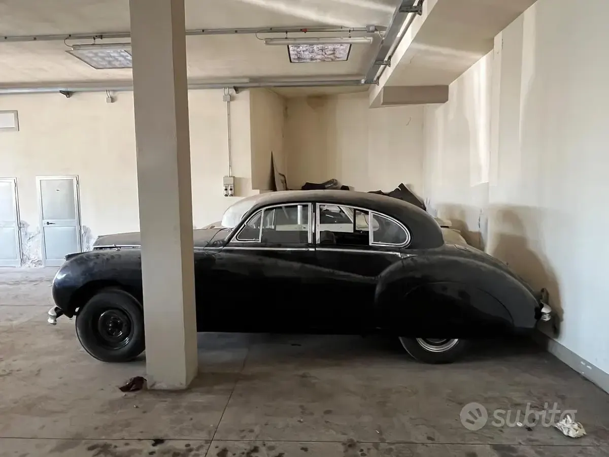 Usata Jaguar MK VII 1950 Bianco Berlina