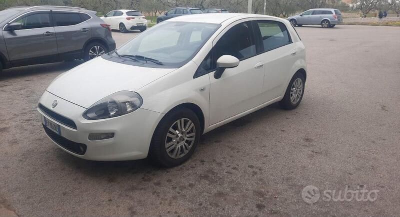 Usata Fiat Punto Evo 75 CV (55 kW) 2014 Bianco Utilitaria