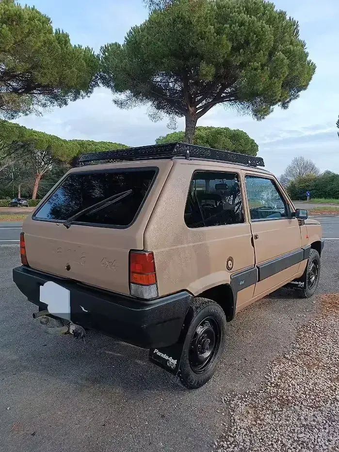 Usata Fiat Panda 4x4 54 CV (39 kW) 2000 Verde Utilitaria