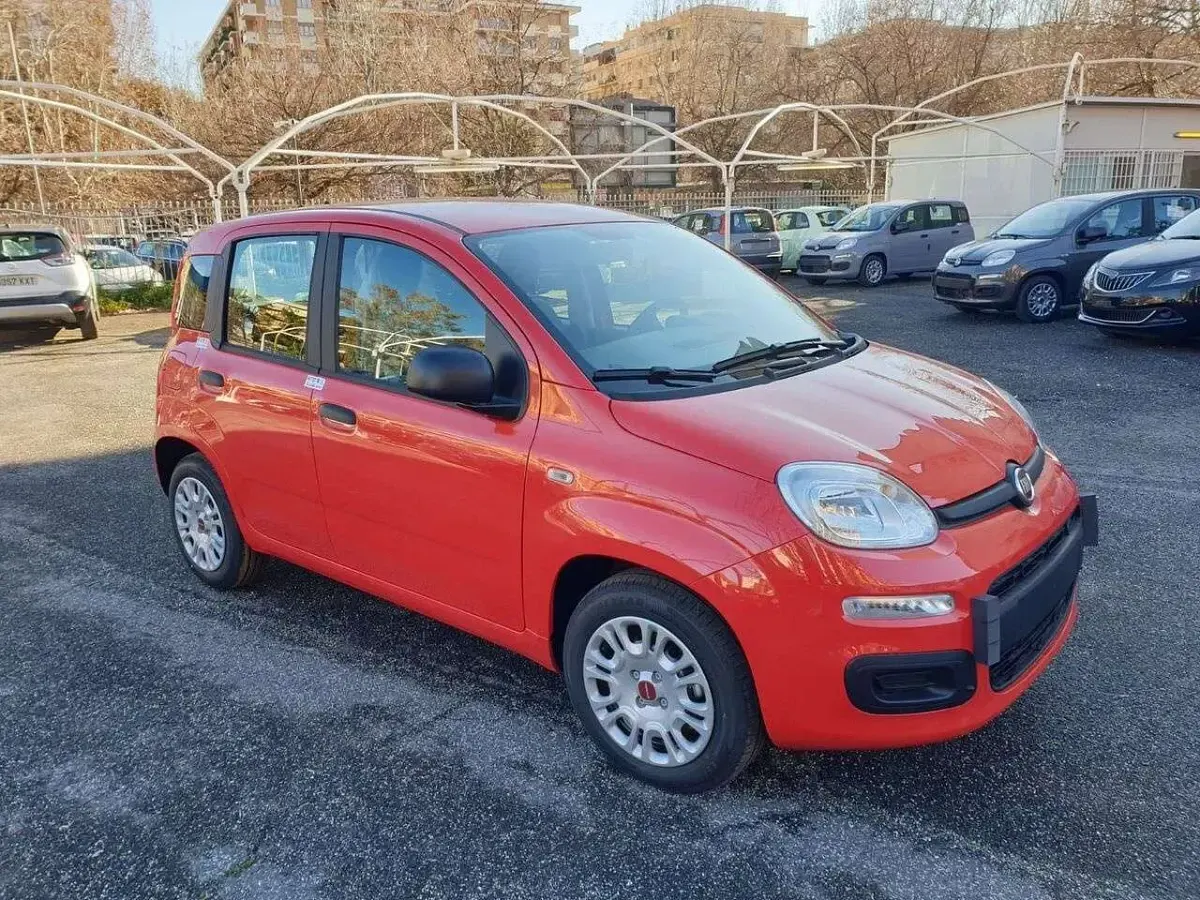 Usata Fiat Panda S 69 CV (50 kW) 2021 Arancio Utilitaria