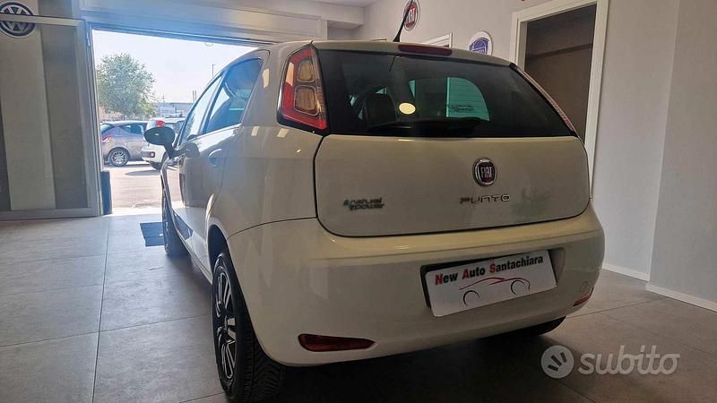 Usata Fiat Punto Lounge 77 CV (56 kW) 2014 Bianco Utilitaria