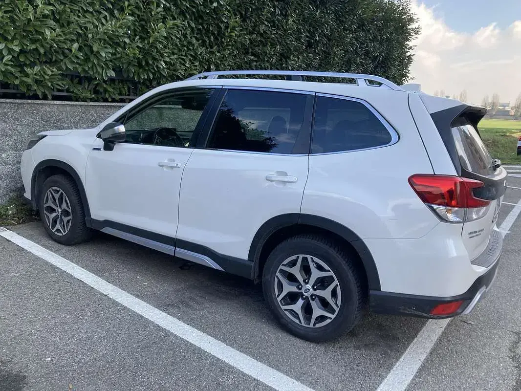 Usata Subaru Forester 150 CV (110 kW) 2023 Bianco SUV