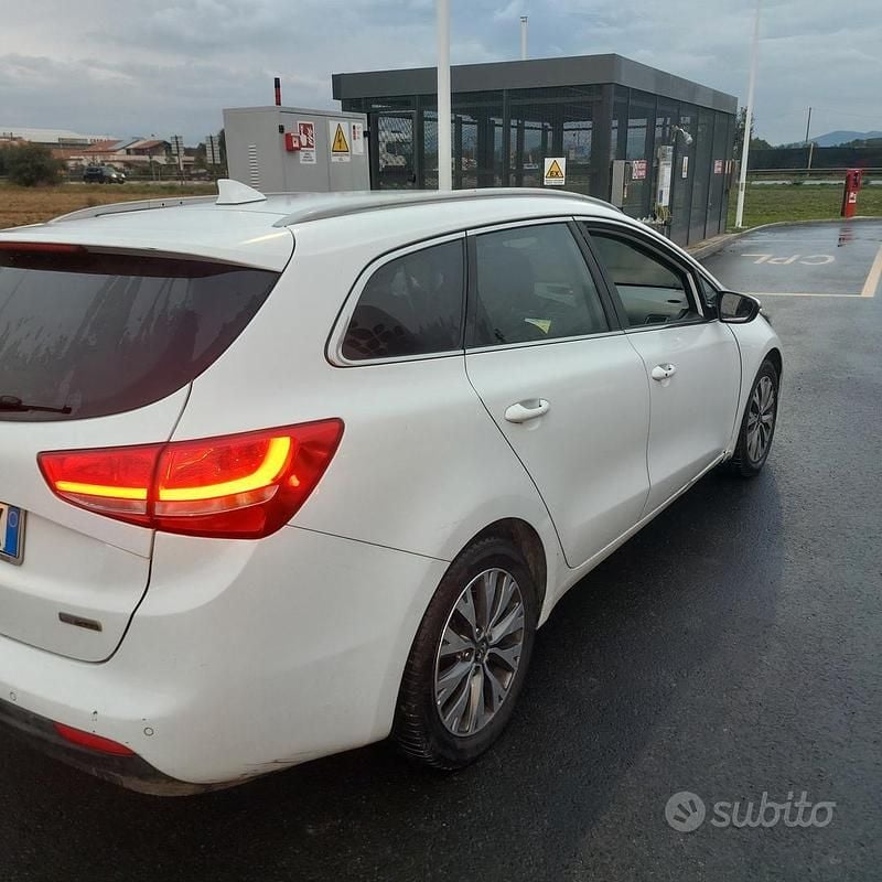 Usata Kia Ceed 110 CV (80 kW) 2018 Bianco Utilitaria