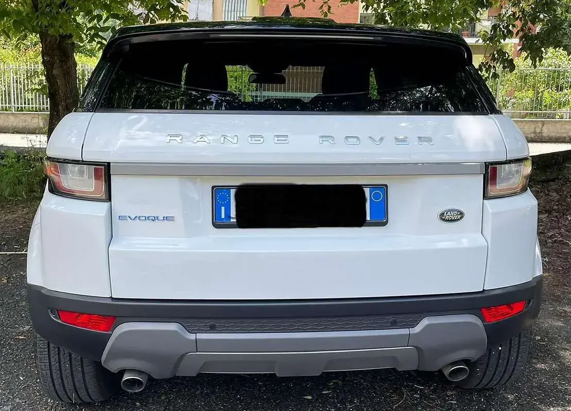 Usata Land Rover Range Rover evoque SE 150 CV (110 kW) 2017 Bianco SUV