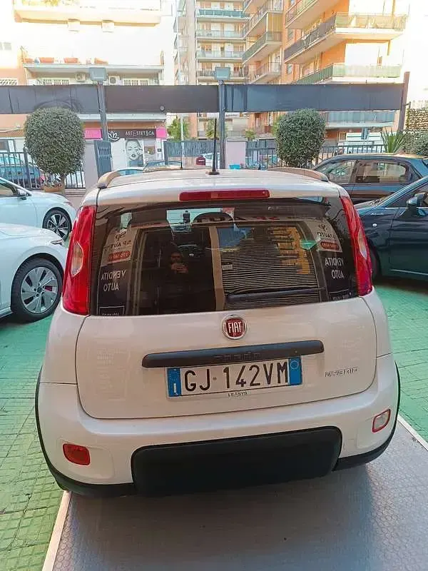 Usata Fiat Panda Cross Cross 69 CV (50 kW) 2022 Utilitaria