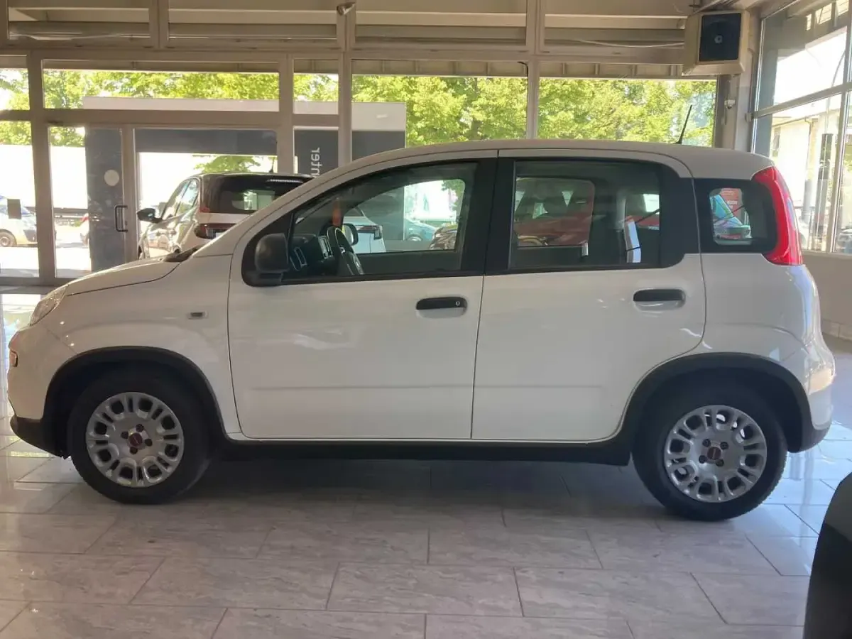 Usata Fiat Panda S 70 CV (51 kW) 2023 Bianco Utilitaria