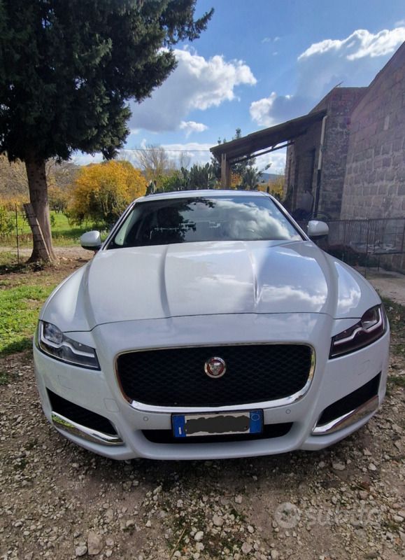Usata Jaguar XF Prestige 300 CV (220 kW) 2015 Bianco Berlina
