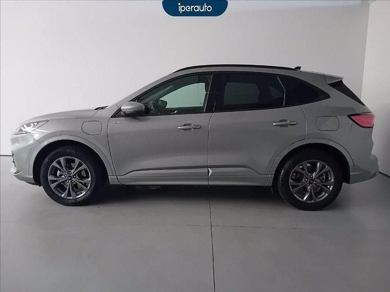 Usata Ford Kuga ST-Line X 225 CV (165 kW) 2023 Grigia SUV