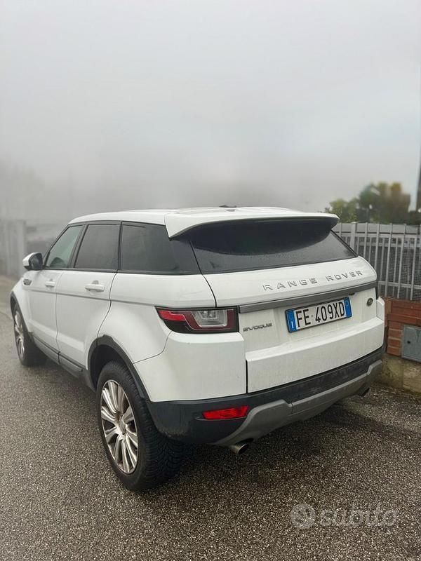Usata Land Rover Range Rover evoque 150 CV (110 kW) 2016 Bianco SUV